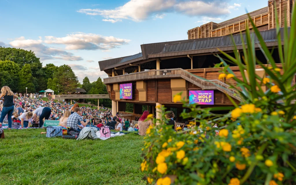 The Lawn at the Filene Center - wolf trap